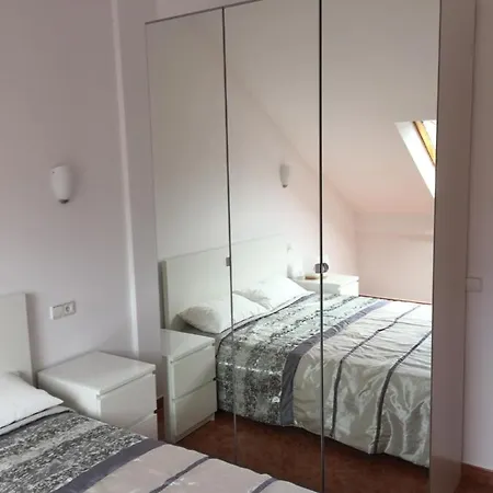 Apartment Duplex En El Centro De Ainsa